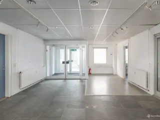 Synligt lejemål på Mileparken