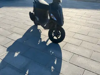 Pgo Black magic