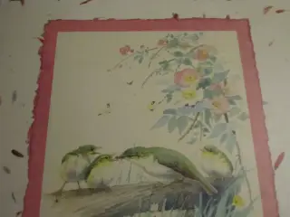 NATURDAGBOG Af En Engelsk Dame År 1906.