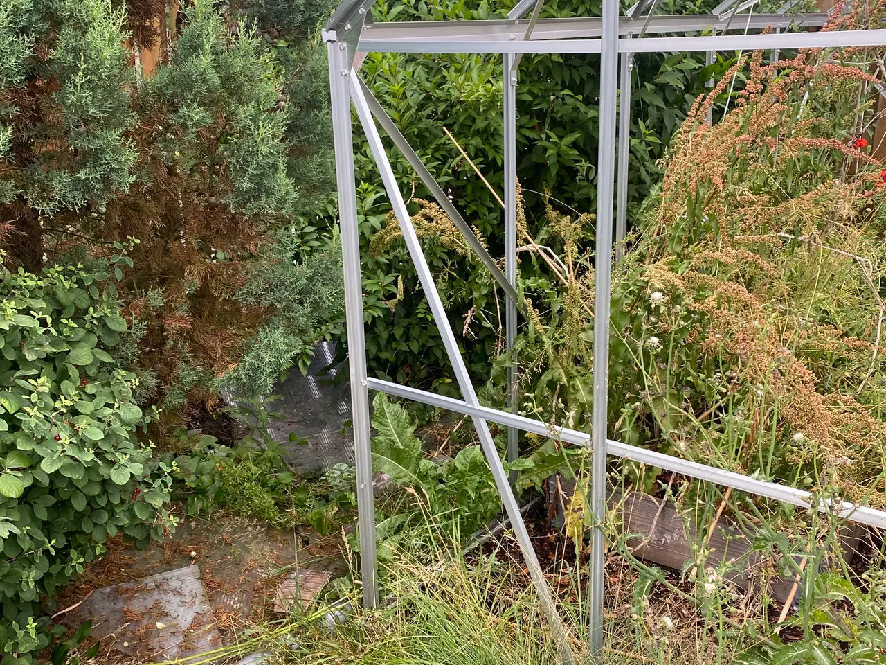Billede 3 - Drivhus uden glas