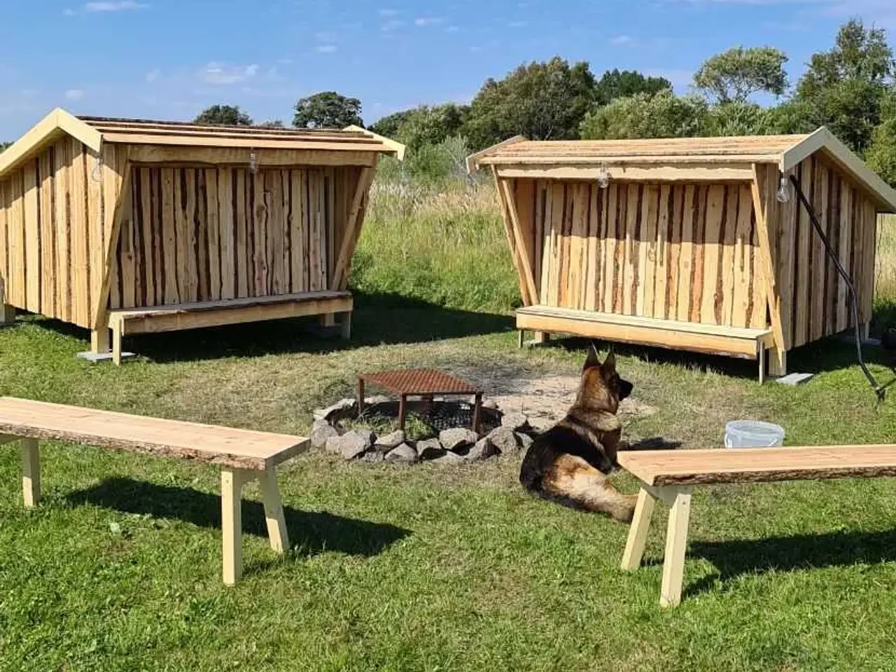 Billede 4 - Shelter