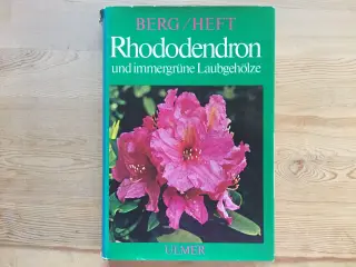 Rhododendron