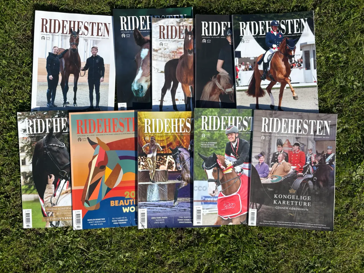 Billede 1 - Ridehesten - 10 stk