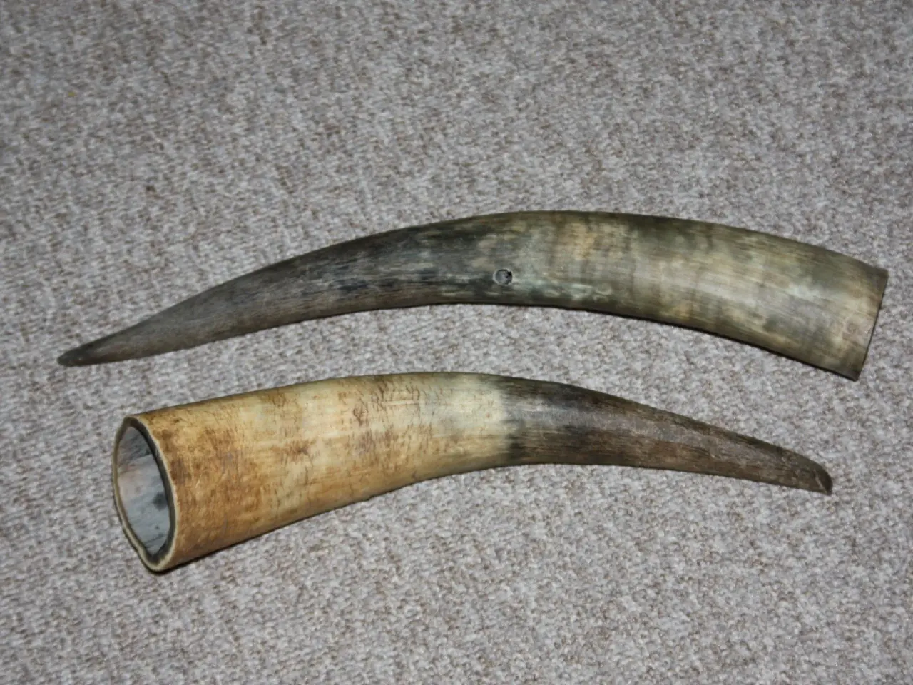 Billede 1 - Horn