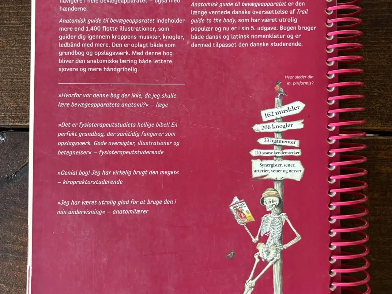 Billede 2 - Studiebog ”Anatomisk guide til bevægeapparatet”