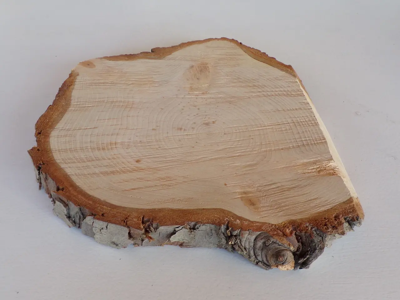 Billede 2 - NY Thuja Træskive 26 cm
