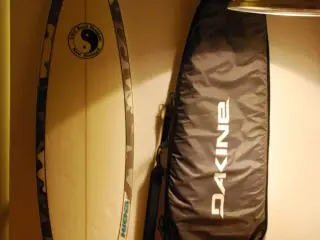 Surfboard 6,6