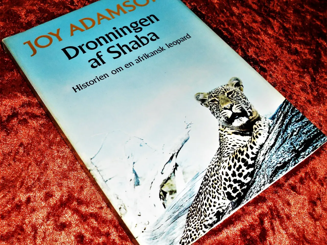 Billede 1 - Dronningen af Shaba, Joy Adams