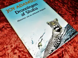 Dronningen af Shaba, Joy Adams