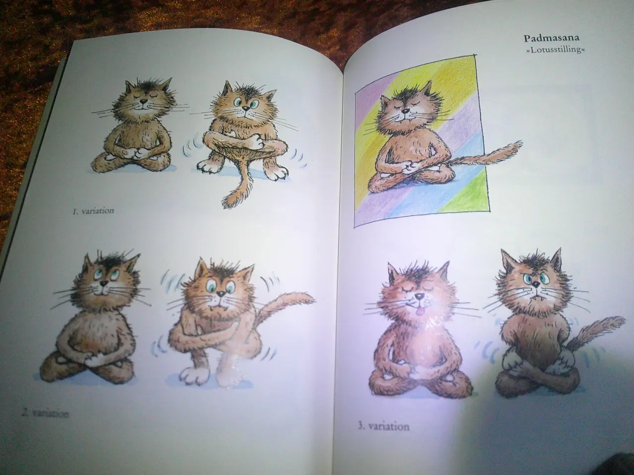 Billede 3 - Yoga for katte, Traudl Reiner, Walter Reiner