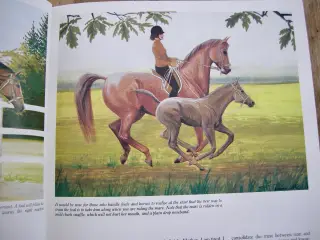 THIS IS RIDING, Gunnar Hedlund, Hestebog engelsk