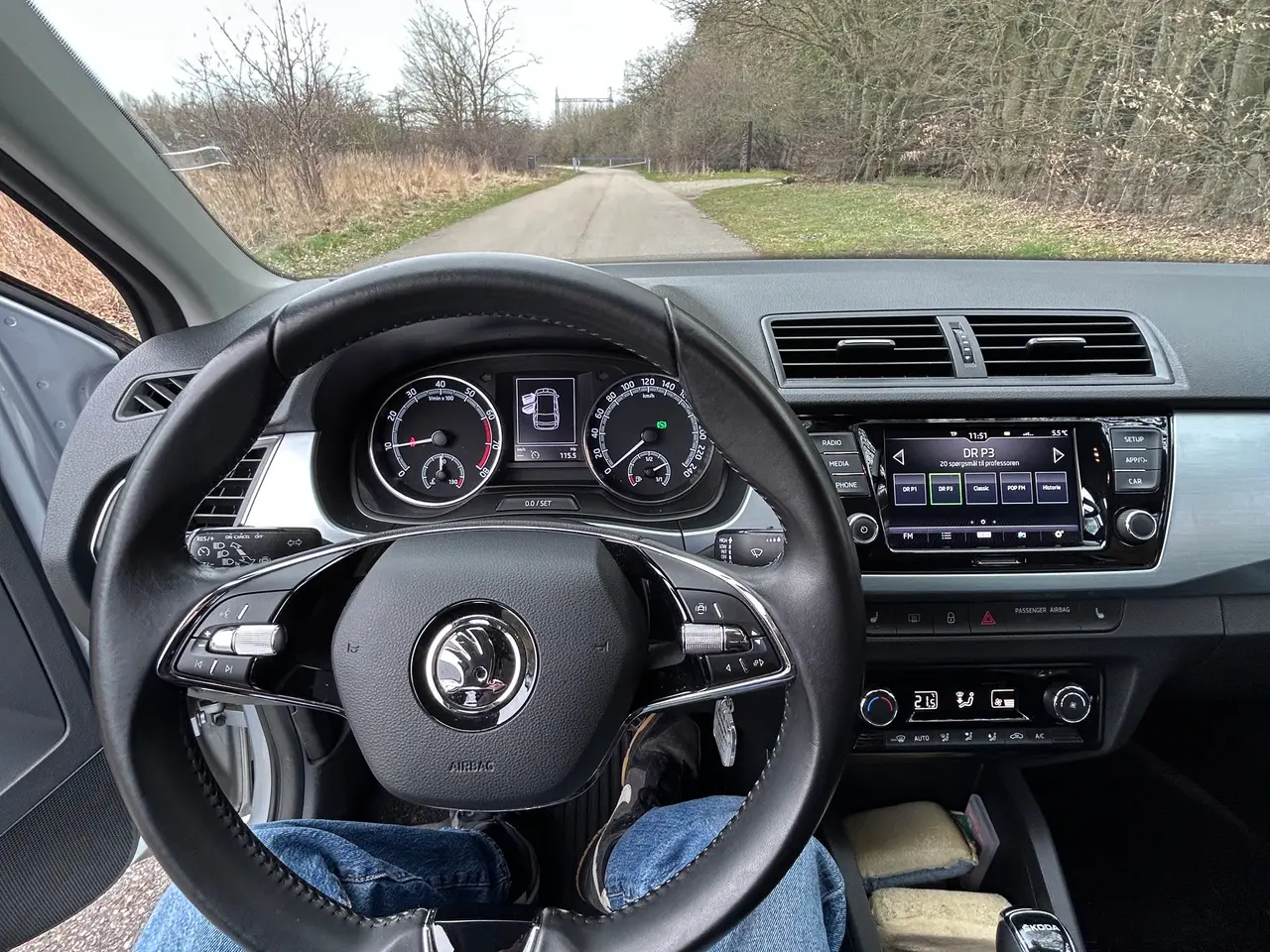 Billede 9 - Skoda Fabia DSG 95 1.0