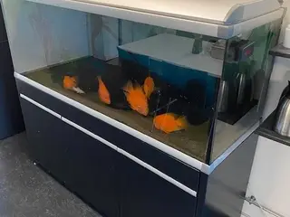 Stort Akvarium komplet system