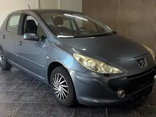 Peugeot 307 1,6