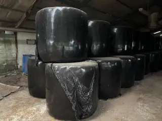 Wraphø