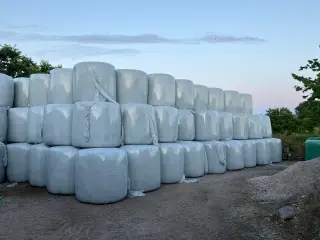 Wrap baller