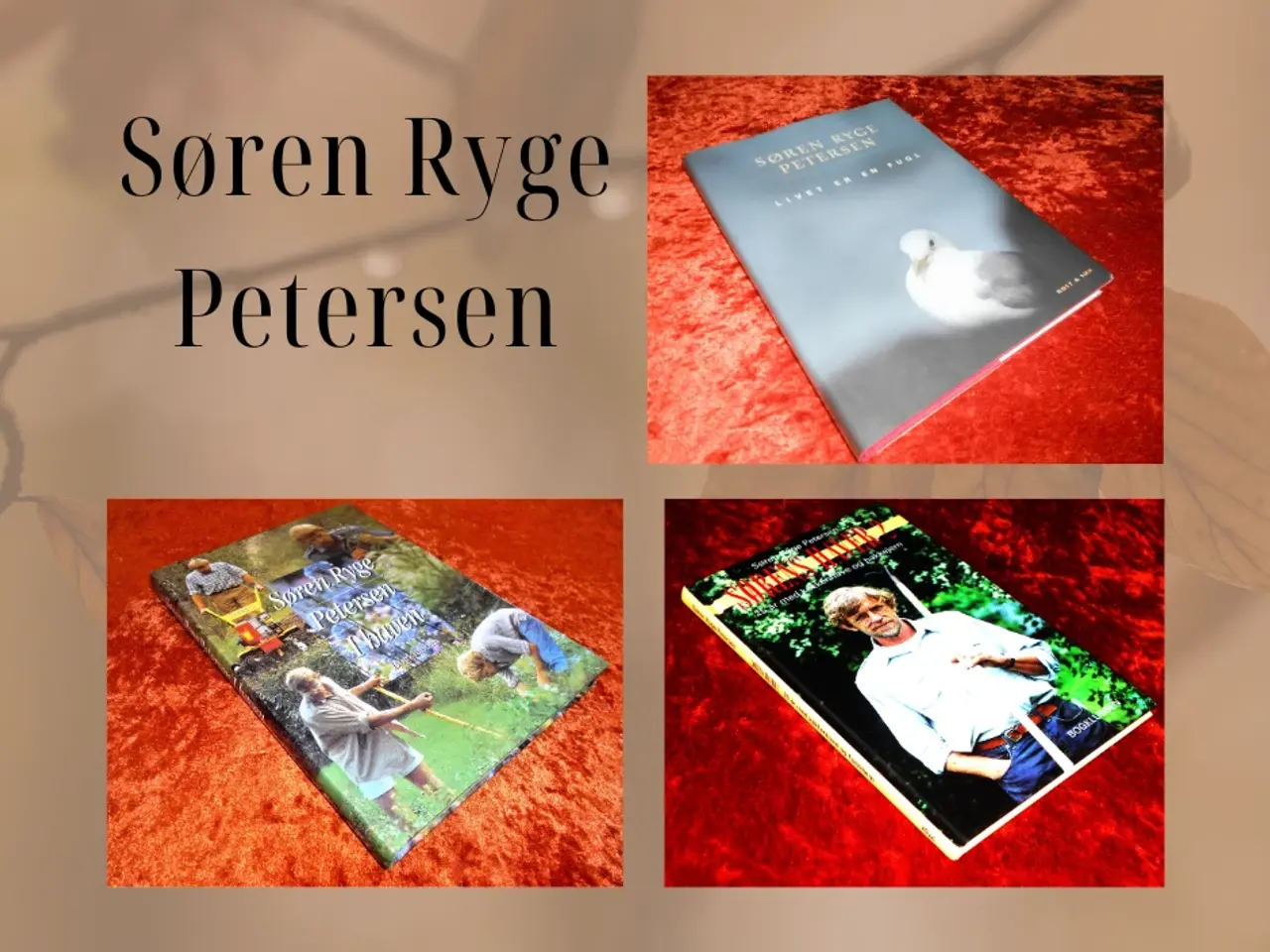 Billede 1 - Livet er en fugl m.fl, Søren Ryge Petersen