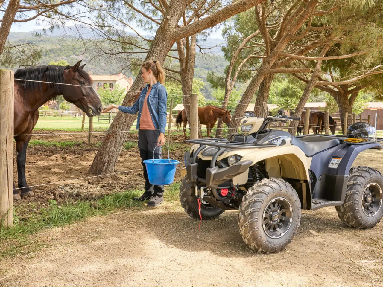 Billede 5 - Yamaha Kodiak 450 EPS SE