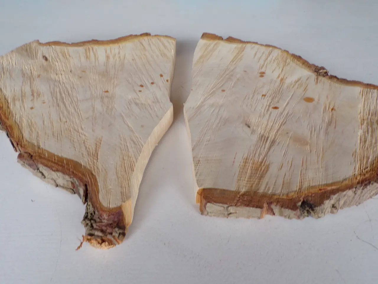 Billede 3 - 2 Thuja træskiver med bark