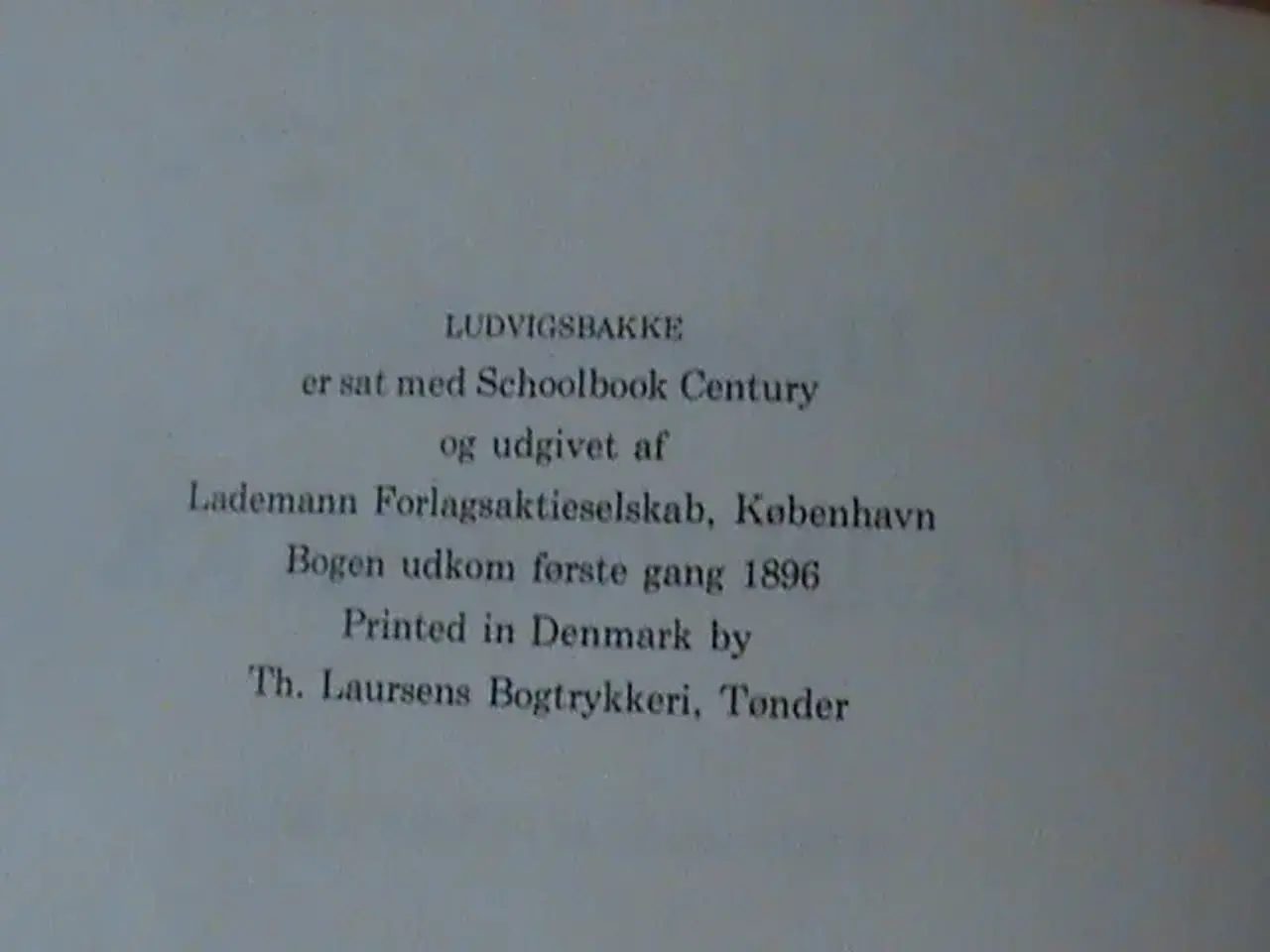 Billede 5 - Bog: Herman Bang: Ludvigsbakke