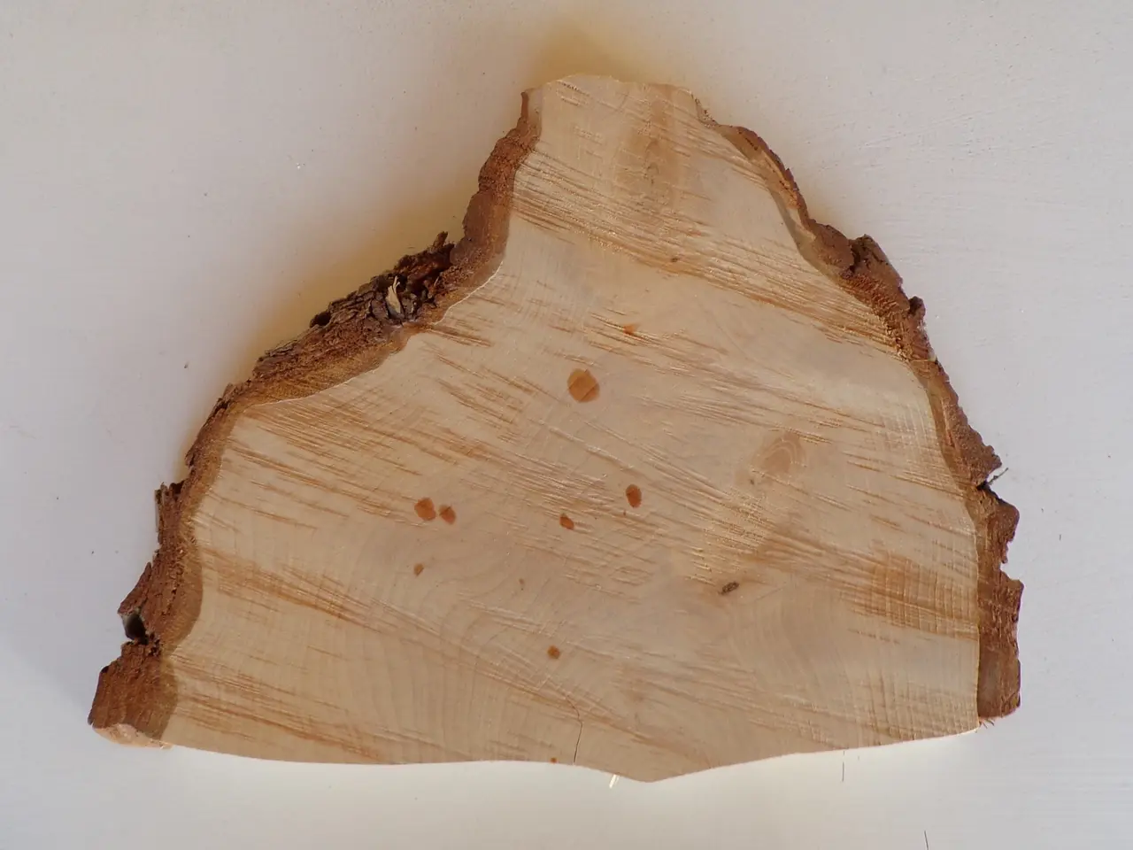Billede 2 - NY Thuja Træskive 30 cm 