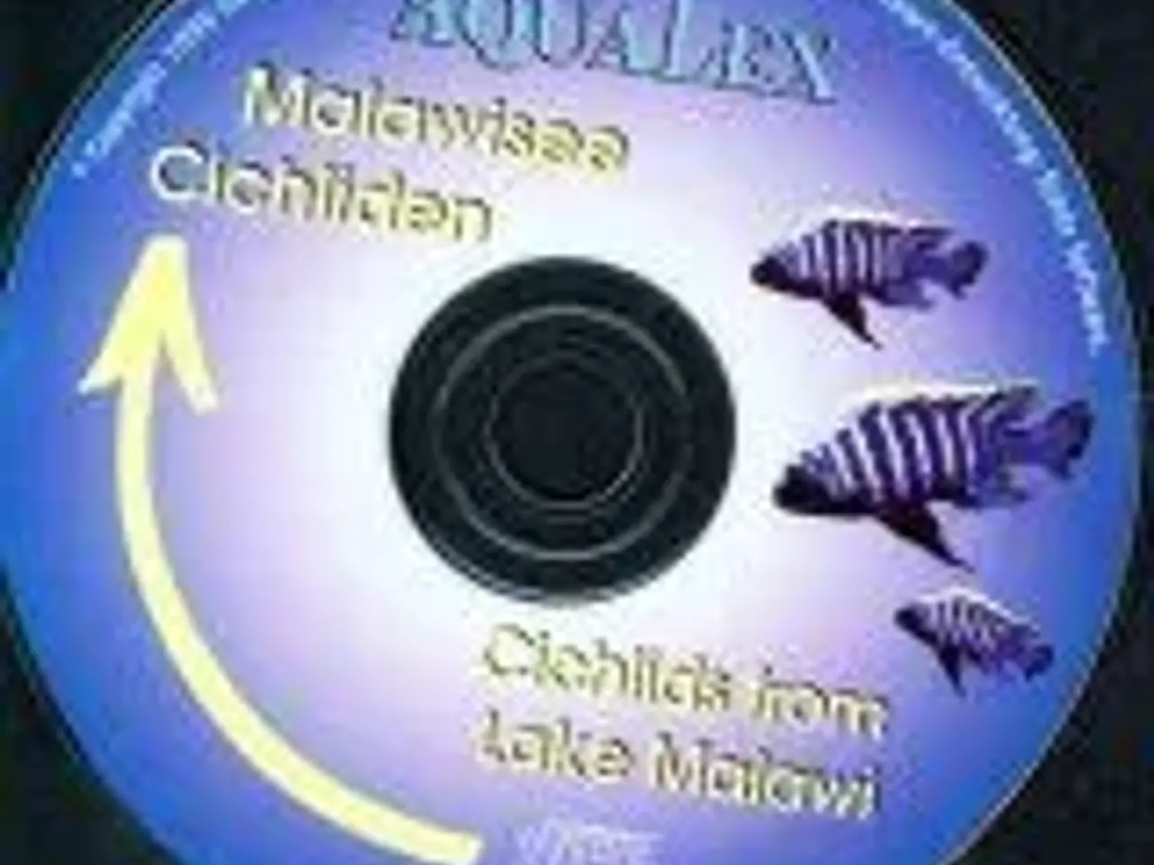 Billede 11 - Malawi Cichlids bøger, tysk - engelsk