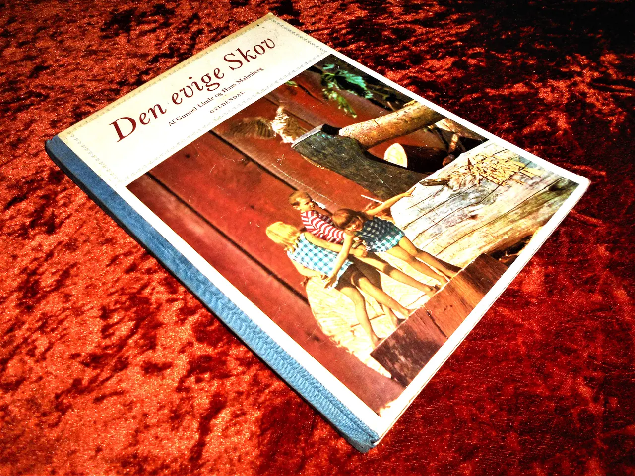 Billede 1 - Den evige skov, Gunnel Linde