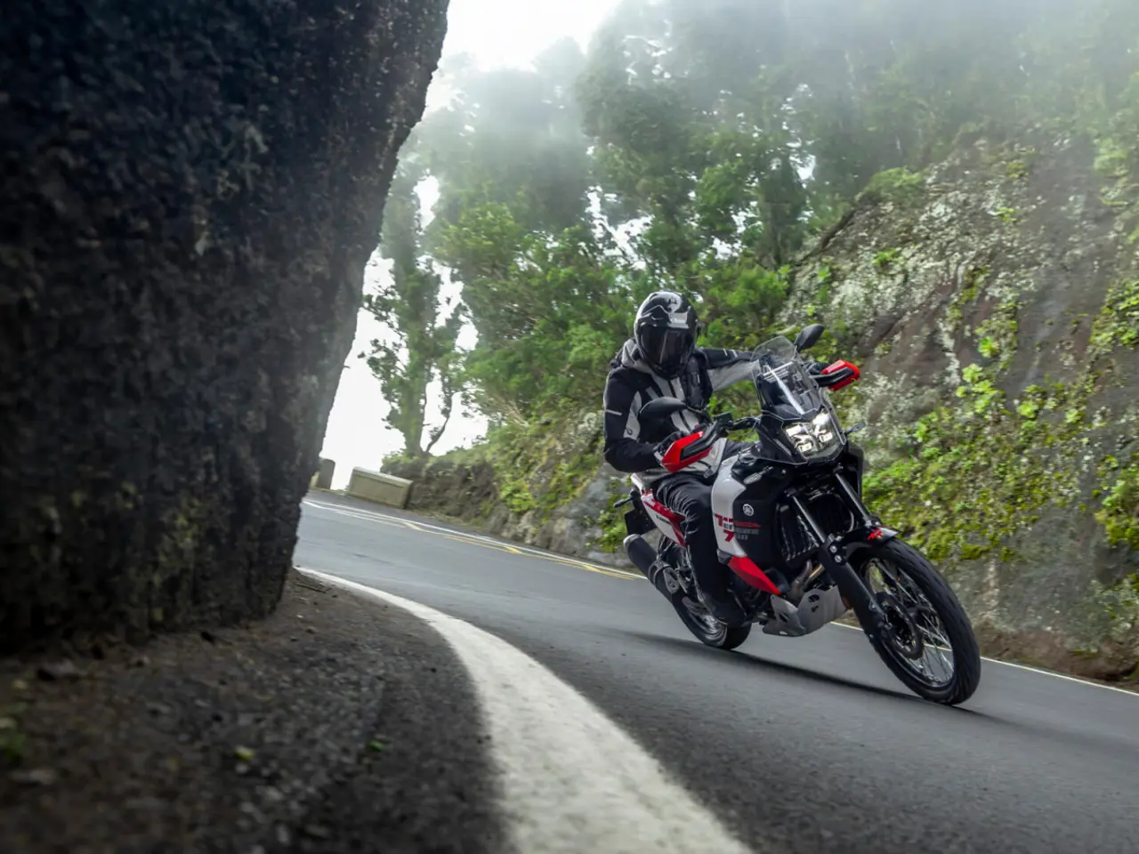 Billede 16 - Yamaha Ténéré 700 World Raid