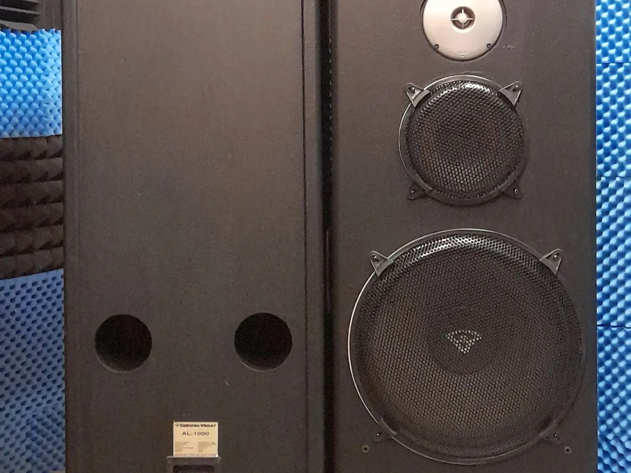 Billede 6 - CERWIN-VEGA - AL-1000 ”Black edition” 1000 W.