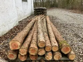 Lærkepæle