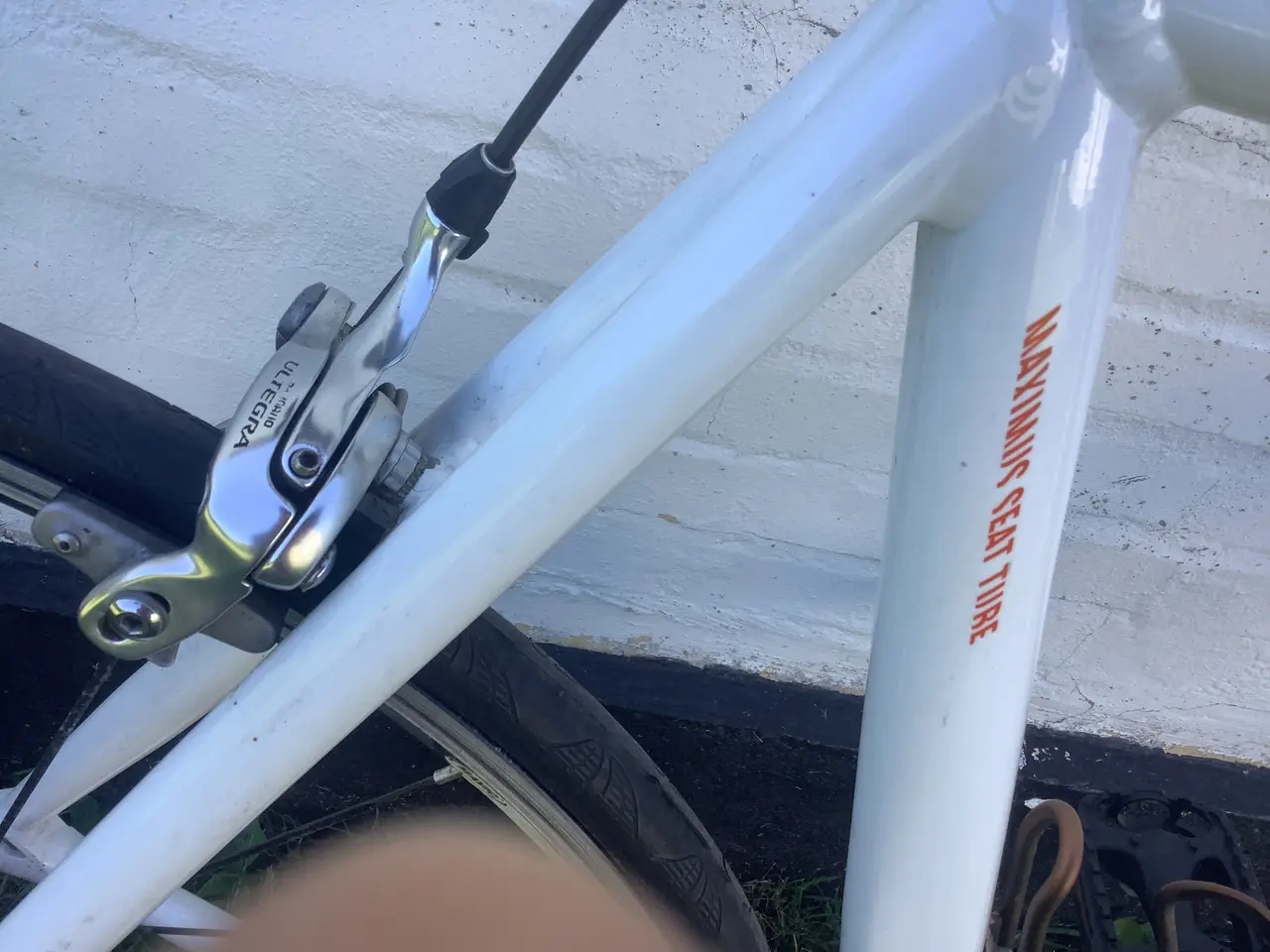 Billede 8 - Canyon Tour de France racer...
