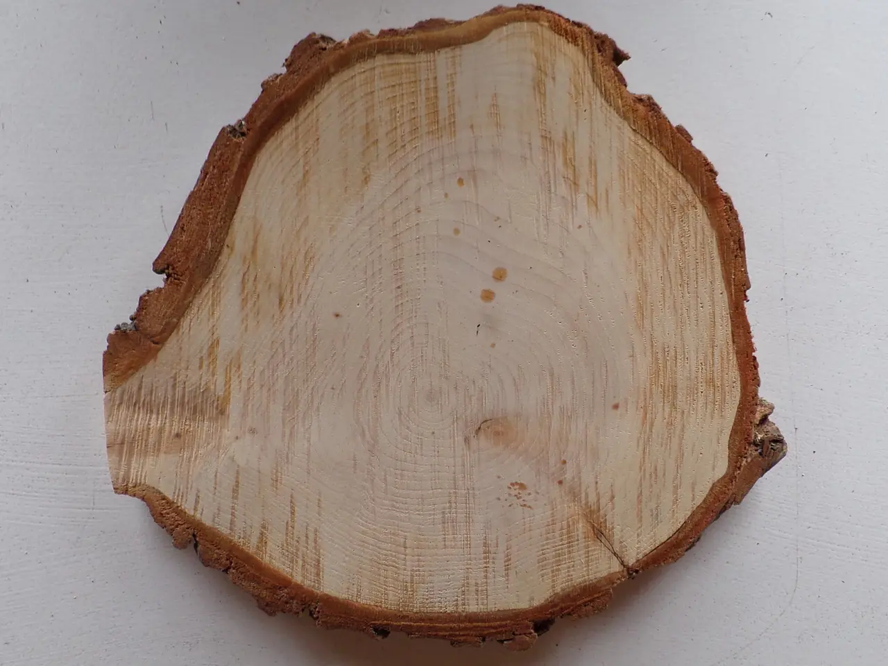 Billede 2 - NY Thuja Træskive med bark 26x24 cm