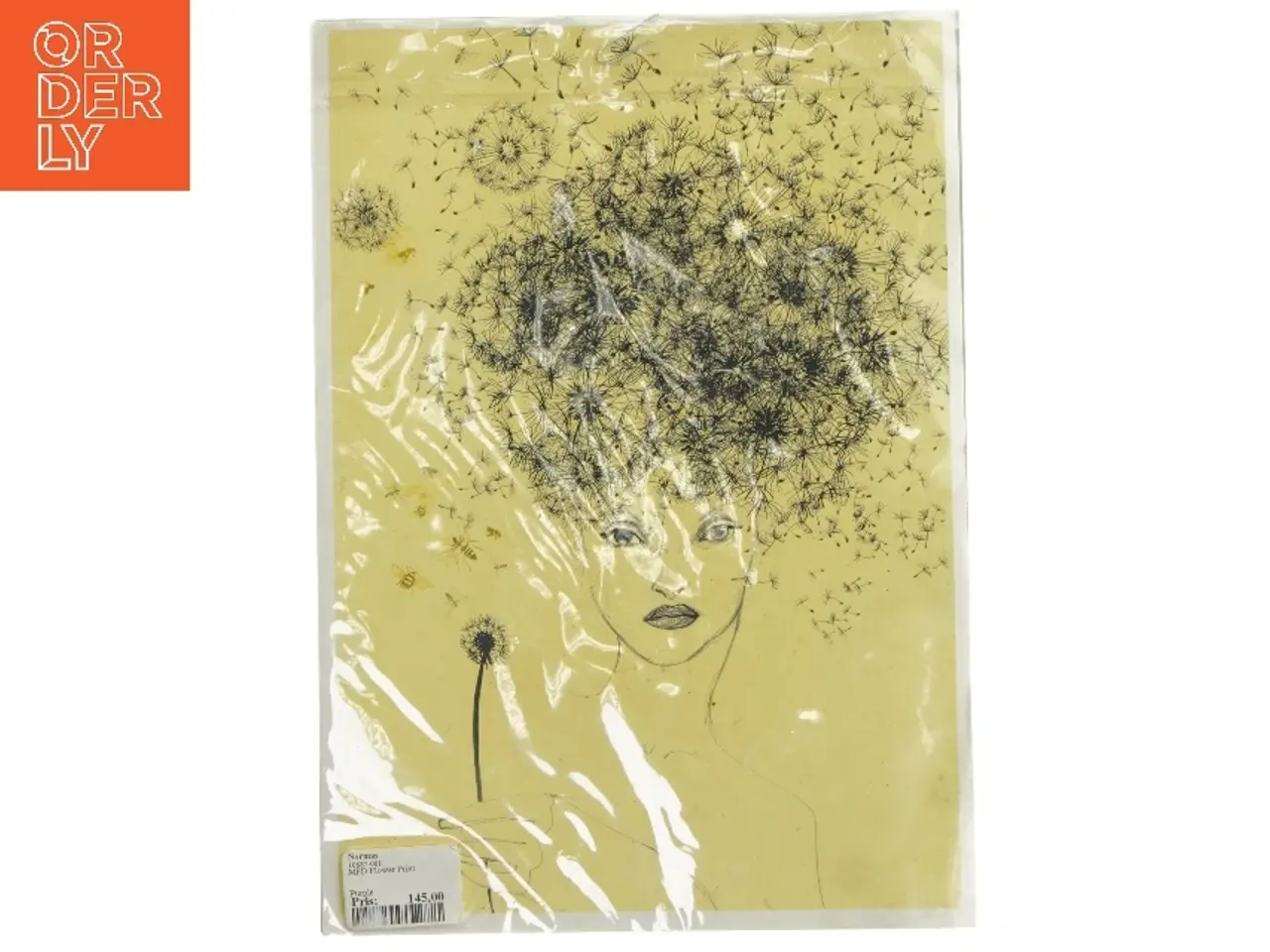 Billede 1 - Indrammet kunstprint fra Normas (str. 30 x 21)