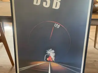 DSB 120 Lyntogsplakat 62x100cm.