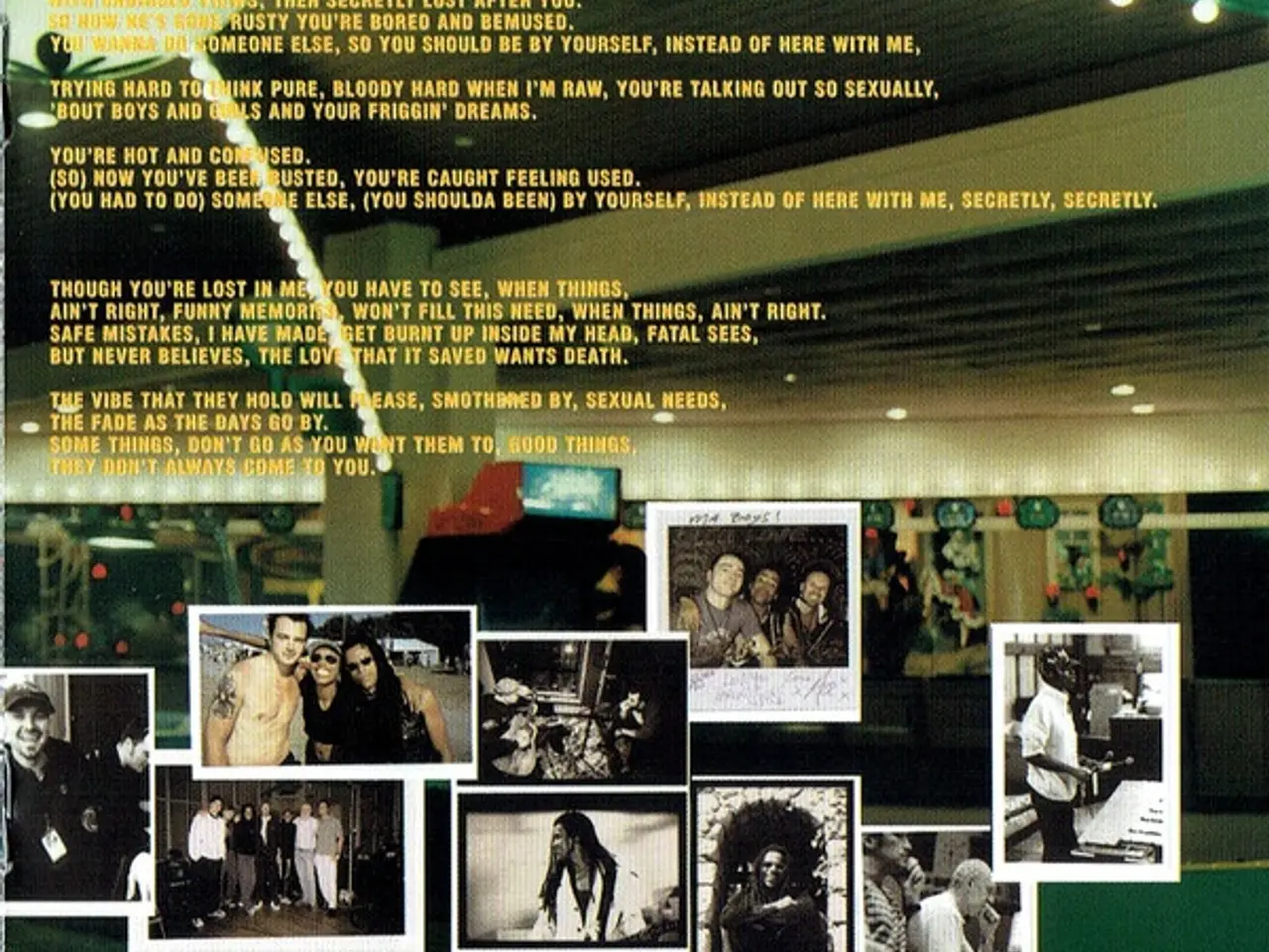 Billede 9 - Skunk Anansie – Post Orgasmic Chill – CD