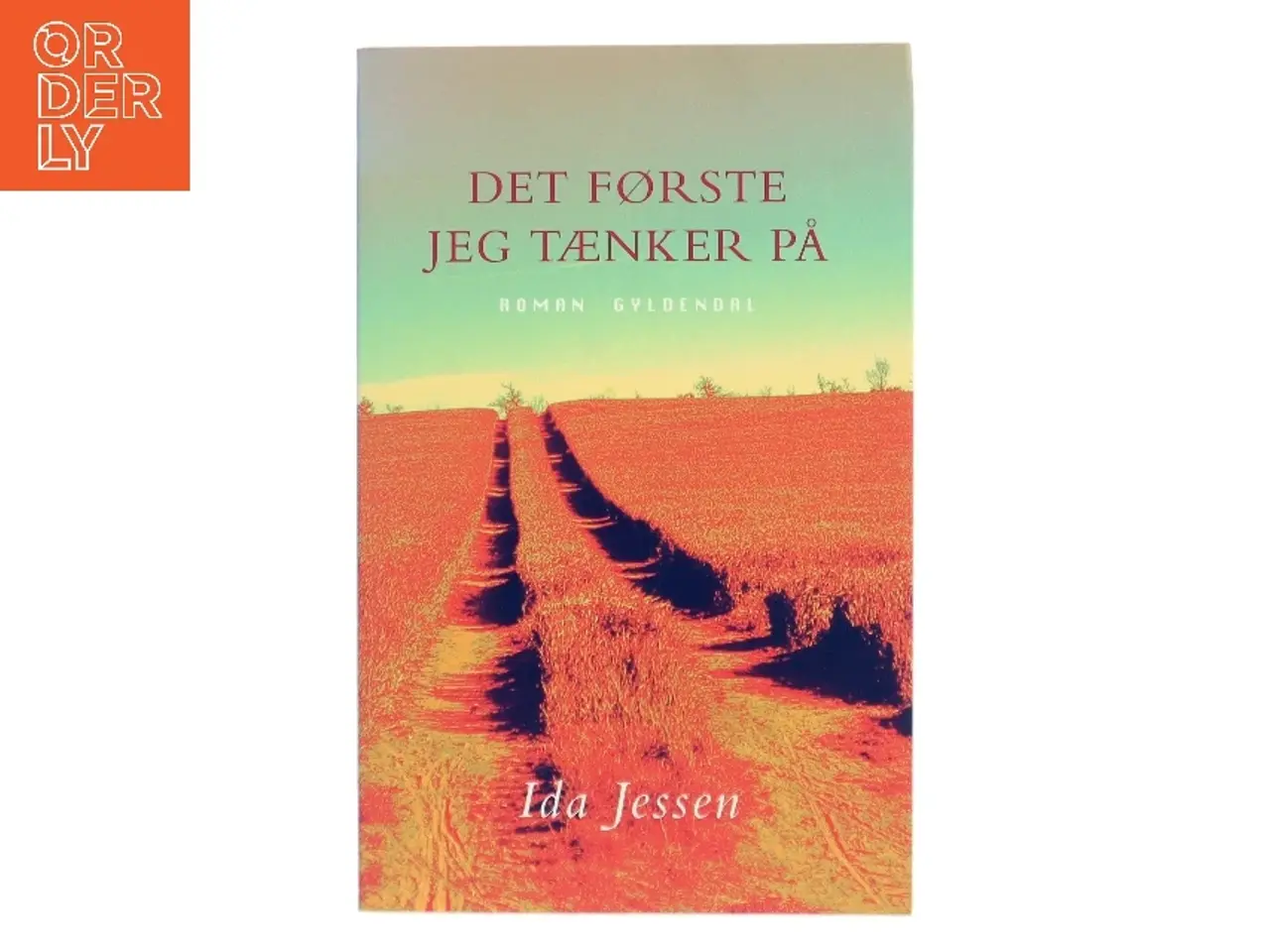 Billede 1 - Det første jeg tænker på : roman af Ida Jessen (Bog)
