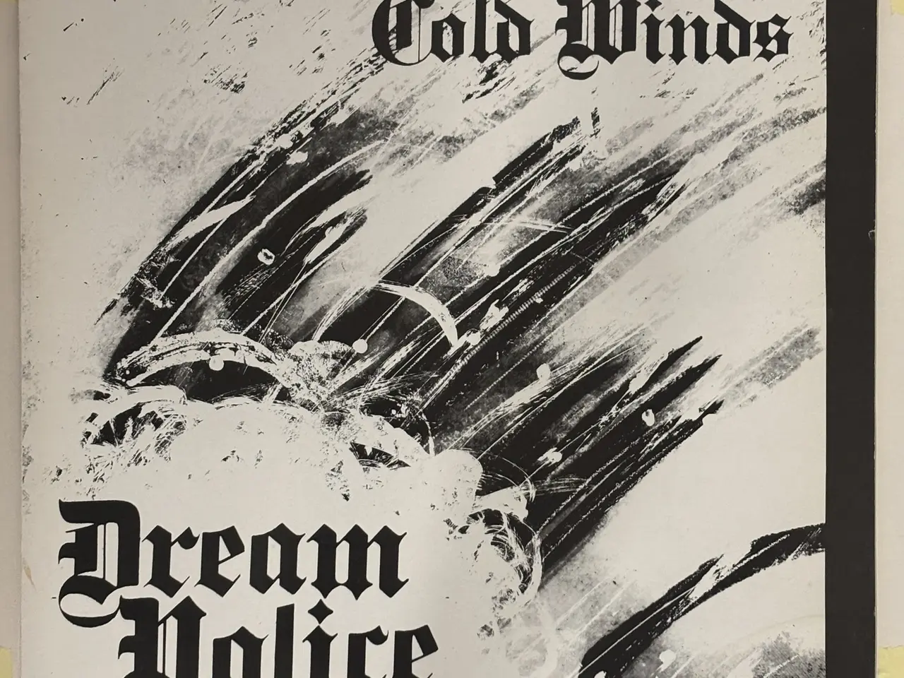 Billede 13 - Jysk Punk Rock – 3 vinyludgivelser 1980erne