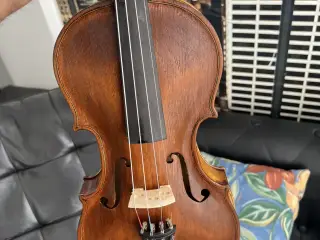 Violin