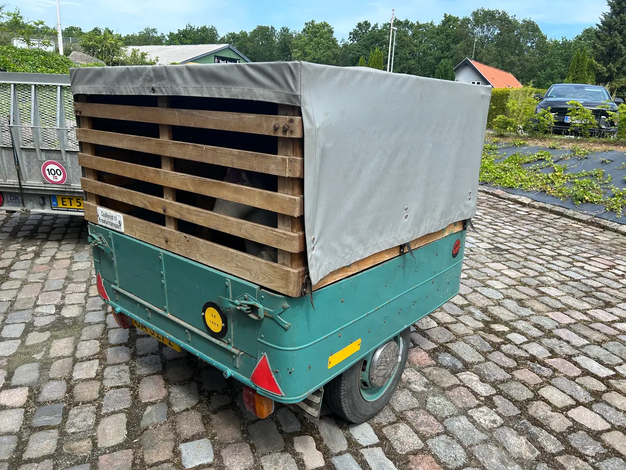 Billede 1 - Brenderup 400 kg trailer årg 1958 med 2 heste