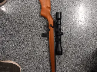 Mossberg 22lr