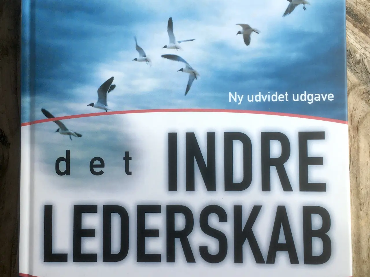 Billede 1 - Det indre lederskab, Sebastian Nybo