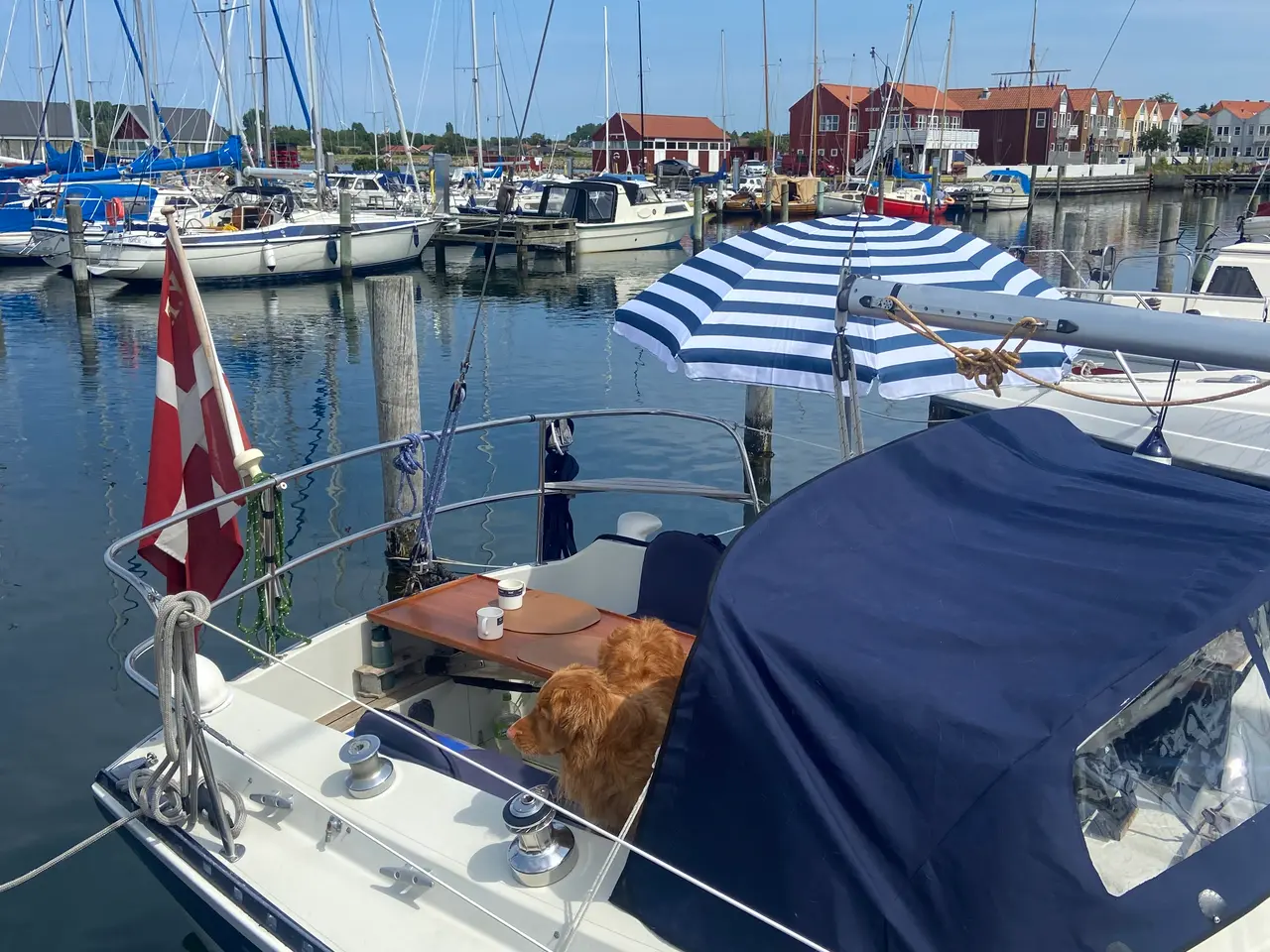 Billede 2 - Sejlbåd Forgus 31
