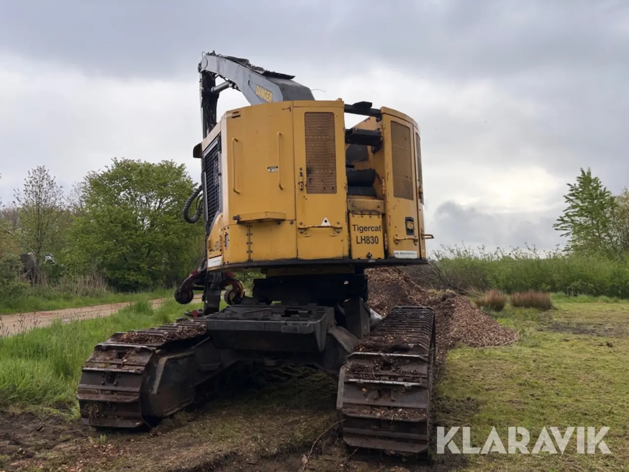 Billede 6 - Skovningsmaskine Tigercat LH380 med Waratah H290 aggregat