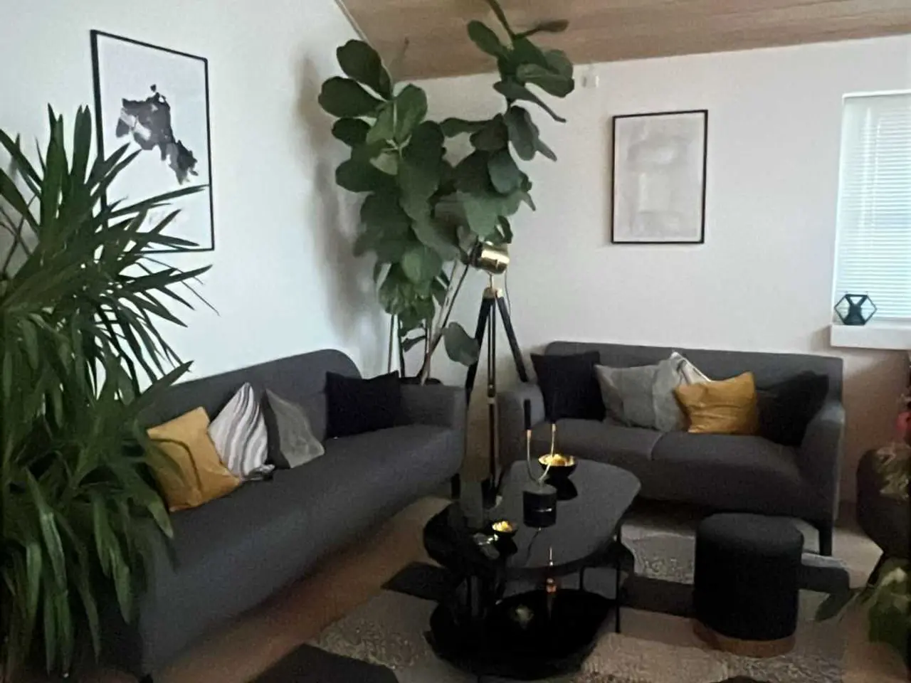Billede 3 - Sofasæt (3-2 personer)
