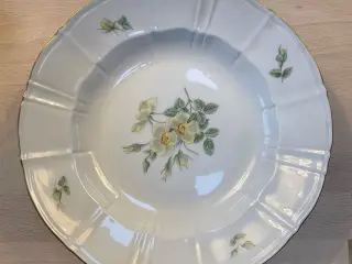 B&G klitrose stel