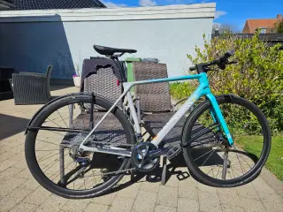 Canyon CF 8