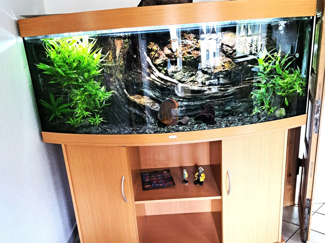 Billede 1 - Flot Juwel Akvarium 450 L med 3D baggrund
