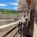 Mircea b.