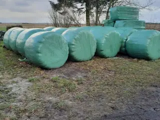 hø