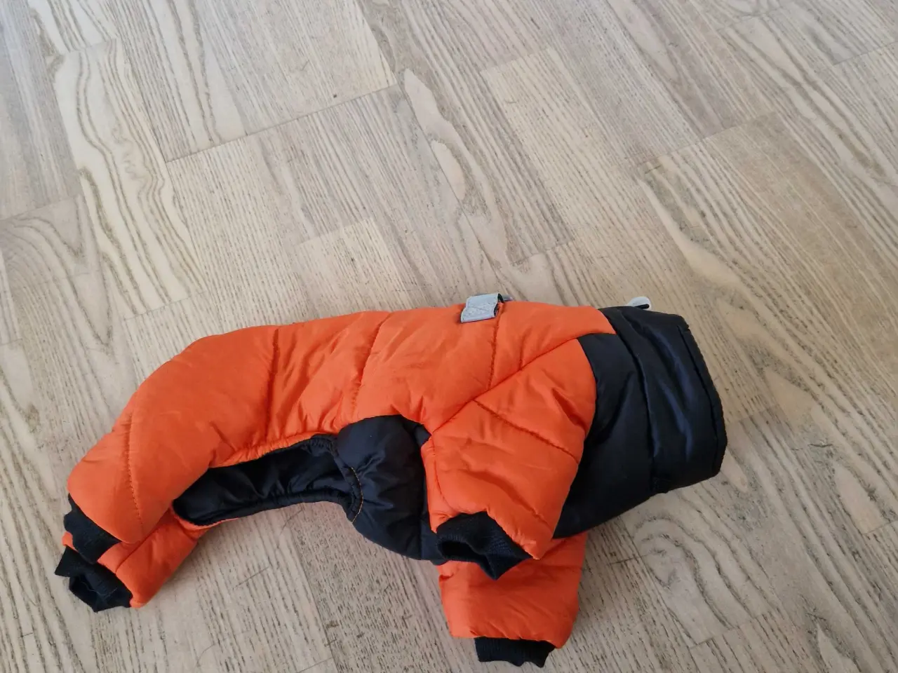 Billede 2 - Varm frakke til chihuahua